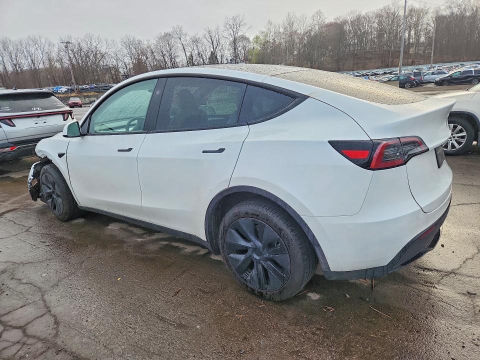 2025 Tesla Model y