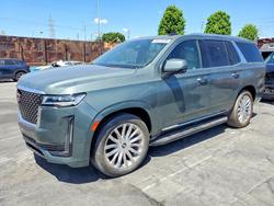 2024 Cadillac Escalade Premium Luxury for sale in Wilmington, CA