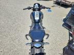 2023 Triumph Trident 660
