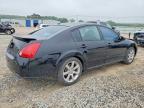 2007 Nissan Maxima 3.5 se