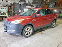 Ford salvage cars for sale: 2014 Ford Escape se