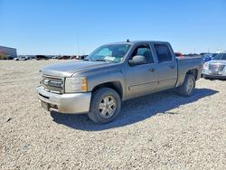 Salvage trucks for sale at Amarillo, TX auction: 2012 Chevrolet Silverado K1500 LT