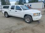2008 Dodge Dakota SXT