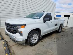 Salvage cars for sale from Copart San Diego, CA: 2024 Chevrolet Silverado C1500