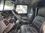 2019 Peterbilt 389 Semi Truck