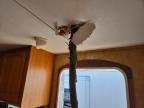 2009 Keystone Laredo Camper