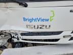 2019 Isuzu NPR HD