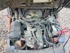 2014 Toyota TA 8FGCU20 Forklift