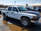 2004 Dodge Dakota Quad Sport