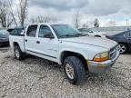 2001 Dodge Dakota Quattro