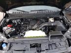 2025 Ford F150 STX