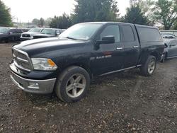 Dodge ram 1500 salvage cars for sale: 2012 Dodge RAM 1500 SLT