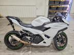 2025 Kawasaki EX500 H