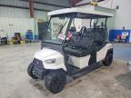 2024 Bintelli Golf Cart