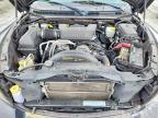 2010 Dodge Dakota SXT