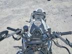 2024 Ducati Monster