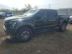 2019 Ford F150 Raptor