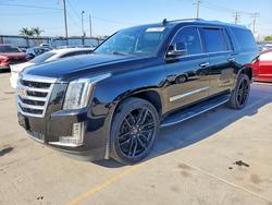 Cadillac salvage cars for sale: 2019 Cadillac Escalade esv Premium Luxury