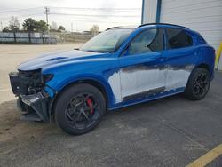 2019 Alfa Romeo Stelvio Quadrifoglio en venta en Nampa, ID