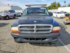 2004 Dodge Dakota Quad Sport