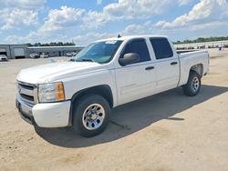 2010 Chevrolet Silverado C1500 LS en venta en Harleyville, SC
