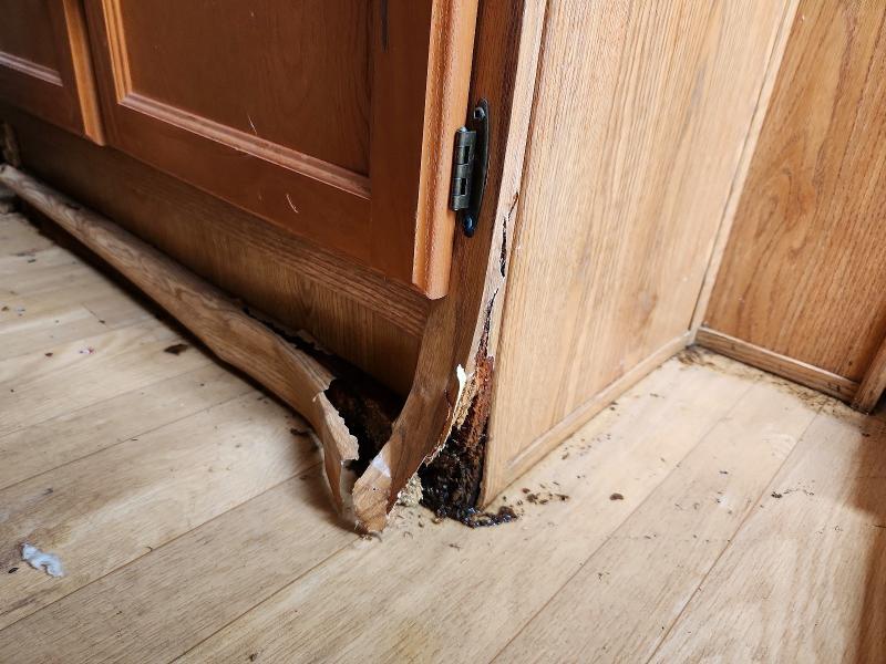 2008 Wildcat 2008 Forest River Wildwood Camper