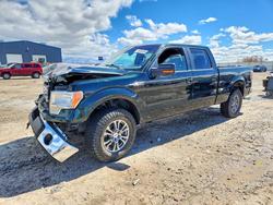 Ford salvage cars for sale: 2013 Ford F150 Supercrew