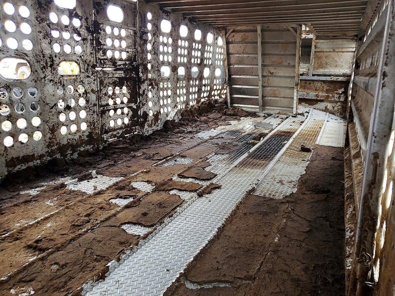 2024 Merritt Livestock Trailer