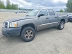2005 Dodge Dakota Quattro