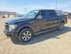 Salvage cars for sale from Copart Bismarck, ND: 2014 Ford F150 Supercrew