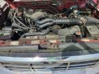 1995 Ford F150