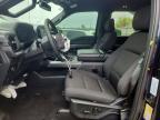 2025 Ford F150 XLT