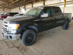 Ford salvage cars for sale: 2014 Ford F150 Supercrew