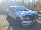 2025 Ford F150 STX