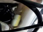 2013 Ducati Diavel