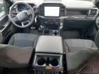 2025 Ford F150 STX