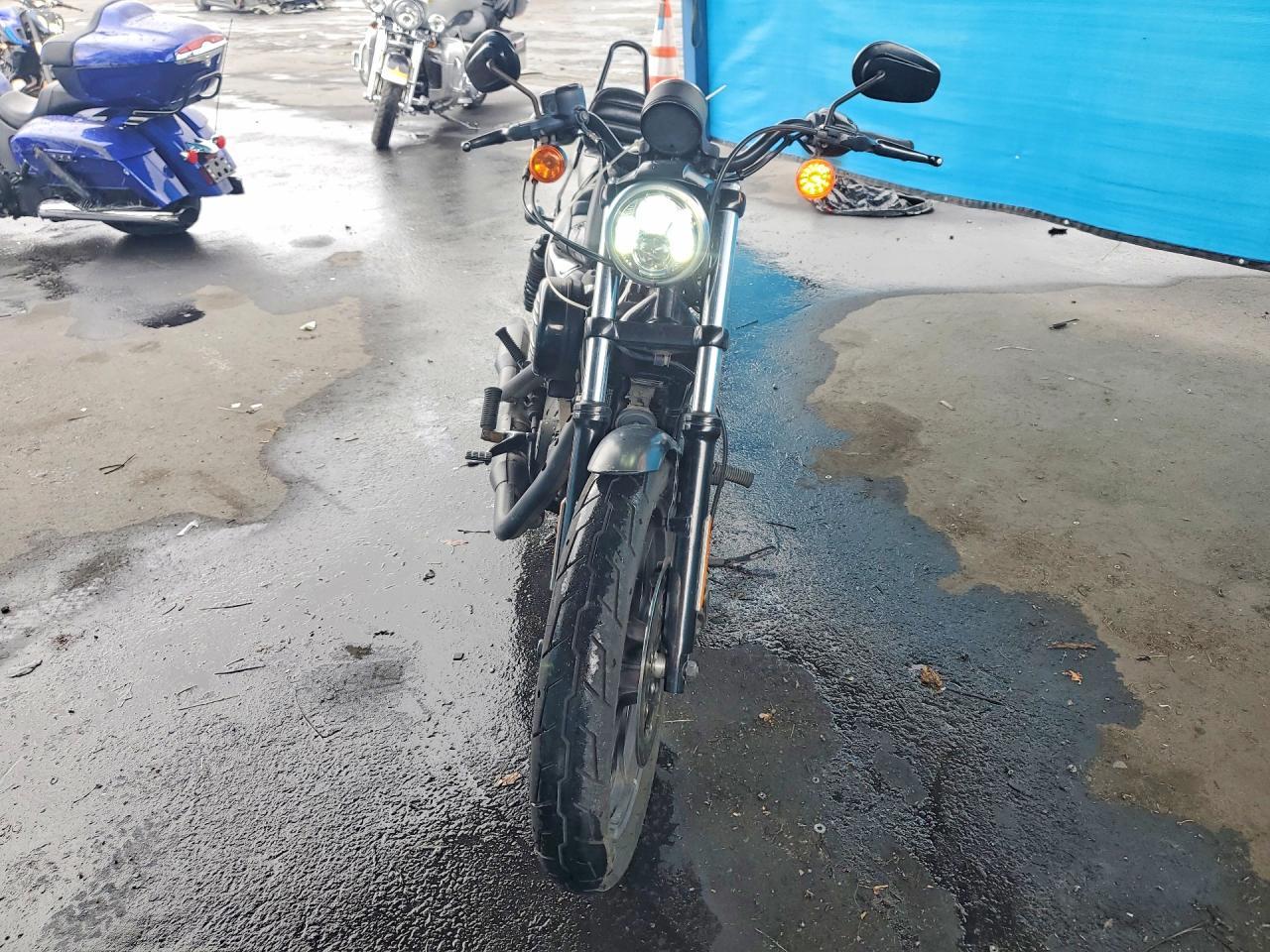 2019 Harley-Davidson XL883 N