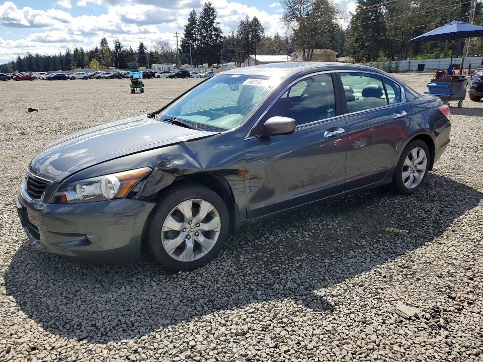 2009 Honda Accord exl