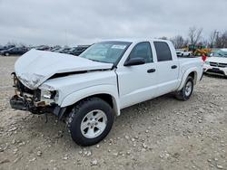 Dodge salvage cars for sale: 2008 Dodge Dakota Quad SLT