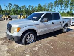 Ford salvage cars for sale: 2013 Ford F150 Supercrew