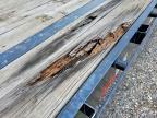2022 Big Tex Trailer Co Inc 2022 BIG TEX 14GN-25BK+5 Equipment Trailer