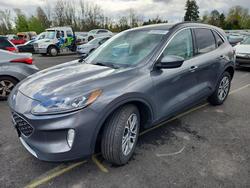 Ford salvage cars for sale: 2021 Ford Escape sel