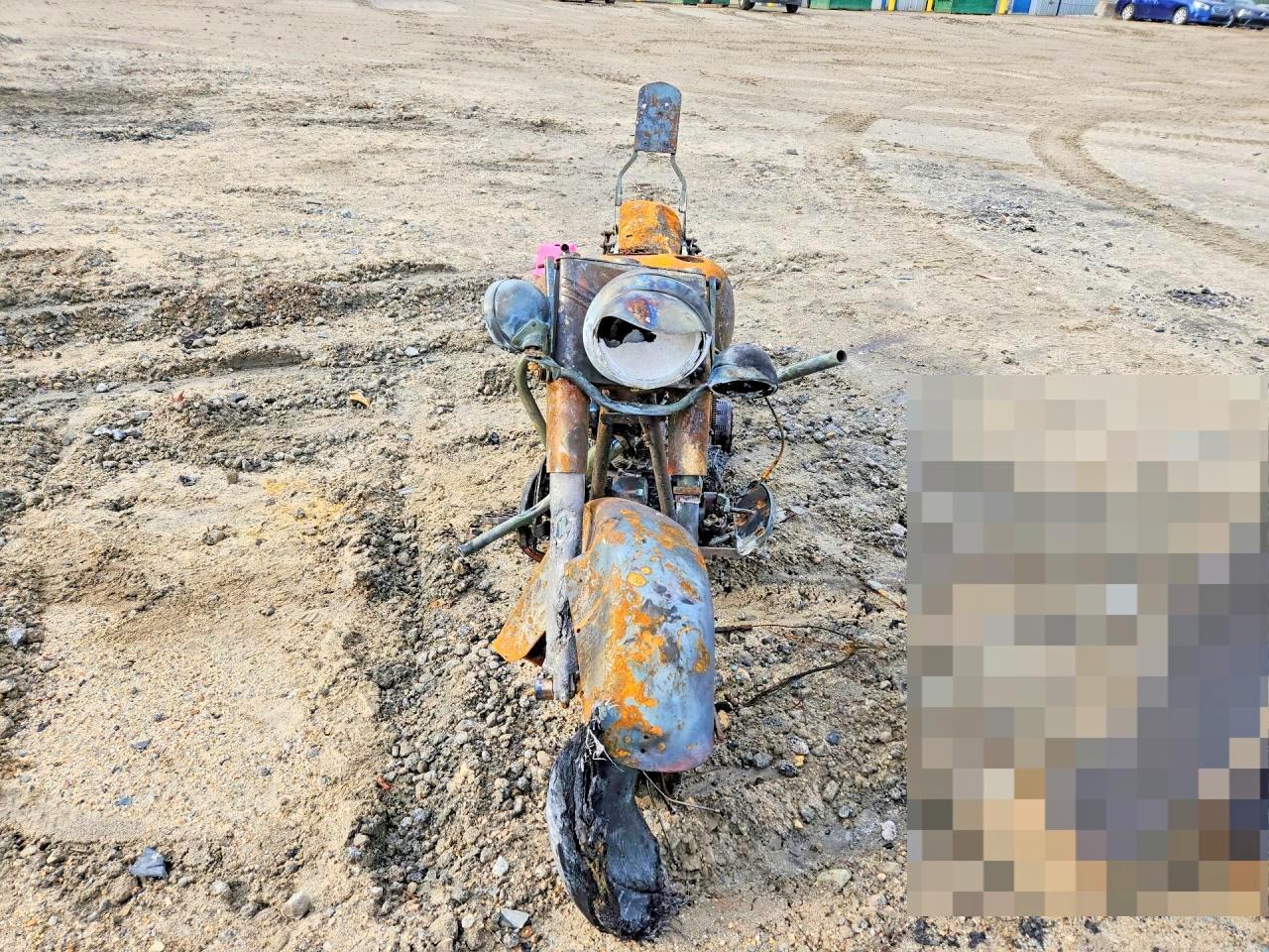 2006 Harley-Davidson Flstci