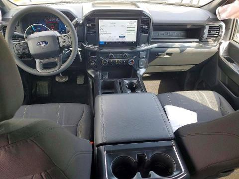 2025 Ford F150 STX