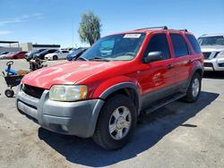 Ford Escape salvage cars for sale: 2002 Ford Escape xlt