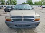 2004 Dodge Dakota SXT