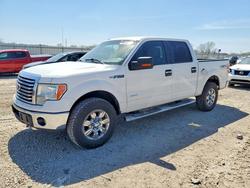 Ford F150 salvage cars for sale: 2012 Ford F150 Supercrew