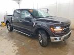 2025 Ford F150 XLT