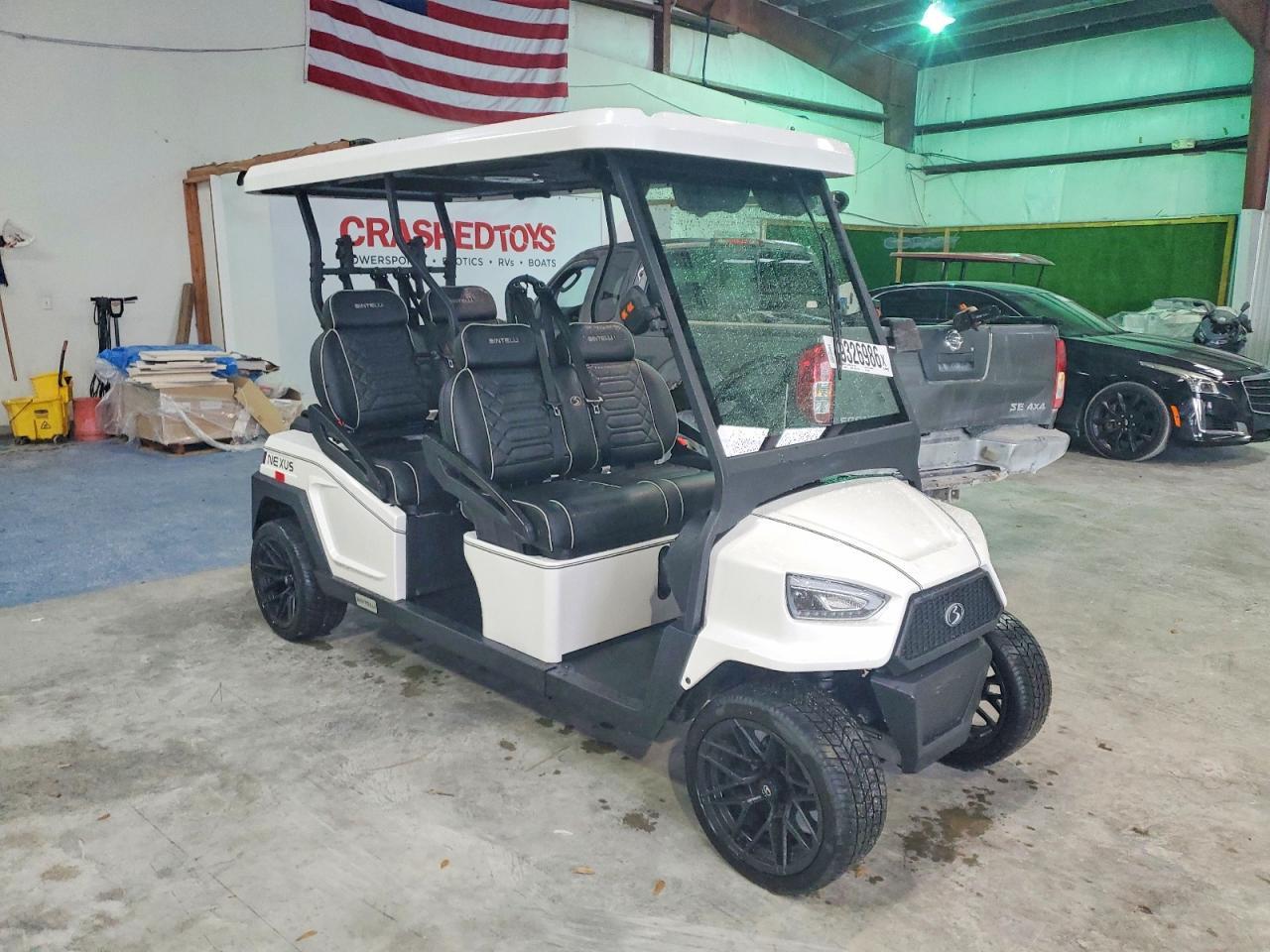 2024 Bintelli Golf Cart