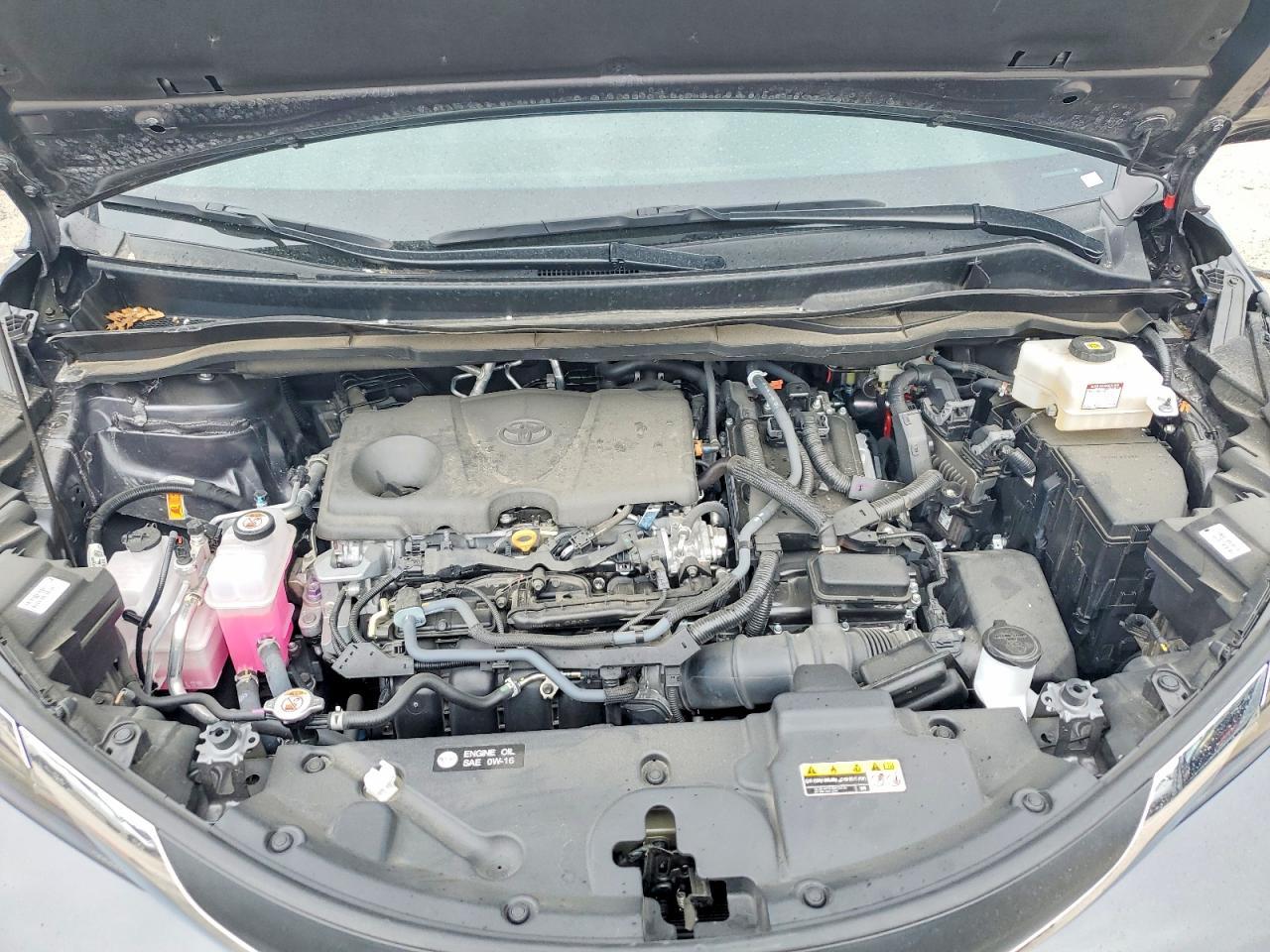 2025 Toyota Sienna xle 8-passenger
